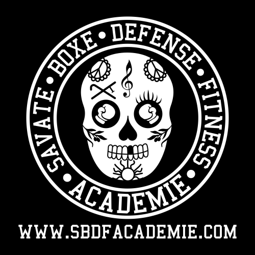 Logo club de Boxe de Montélimar SBDF - Finalisation modelage d'un logo esquissé par Franck Prat (président du club de boxe)